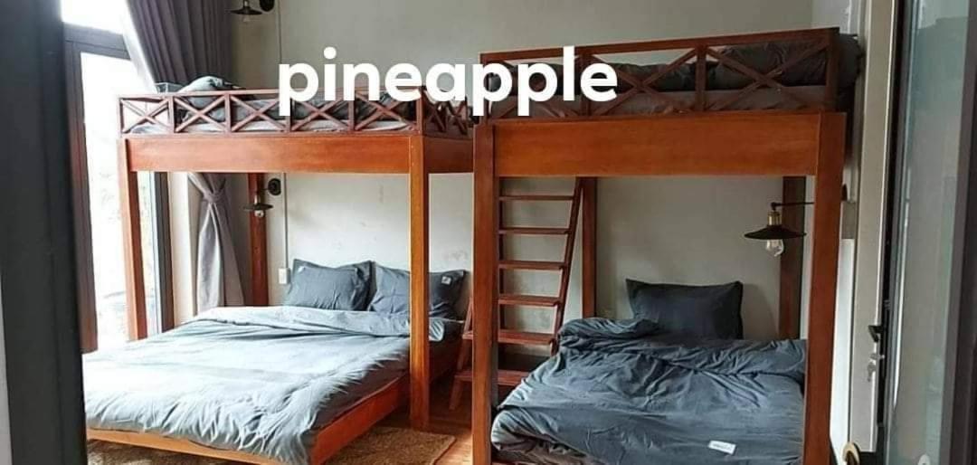 S'Nghe Homestay Mang Den Kon Von Kla Eksteriør bilde